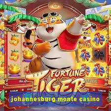 johannesburg monte casino